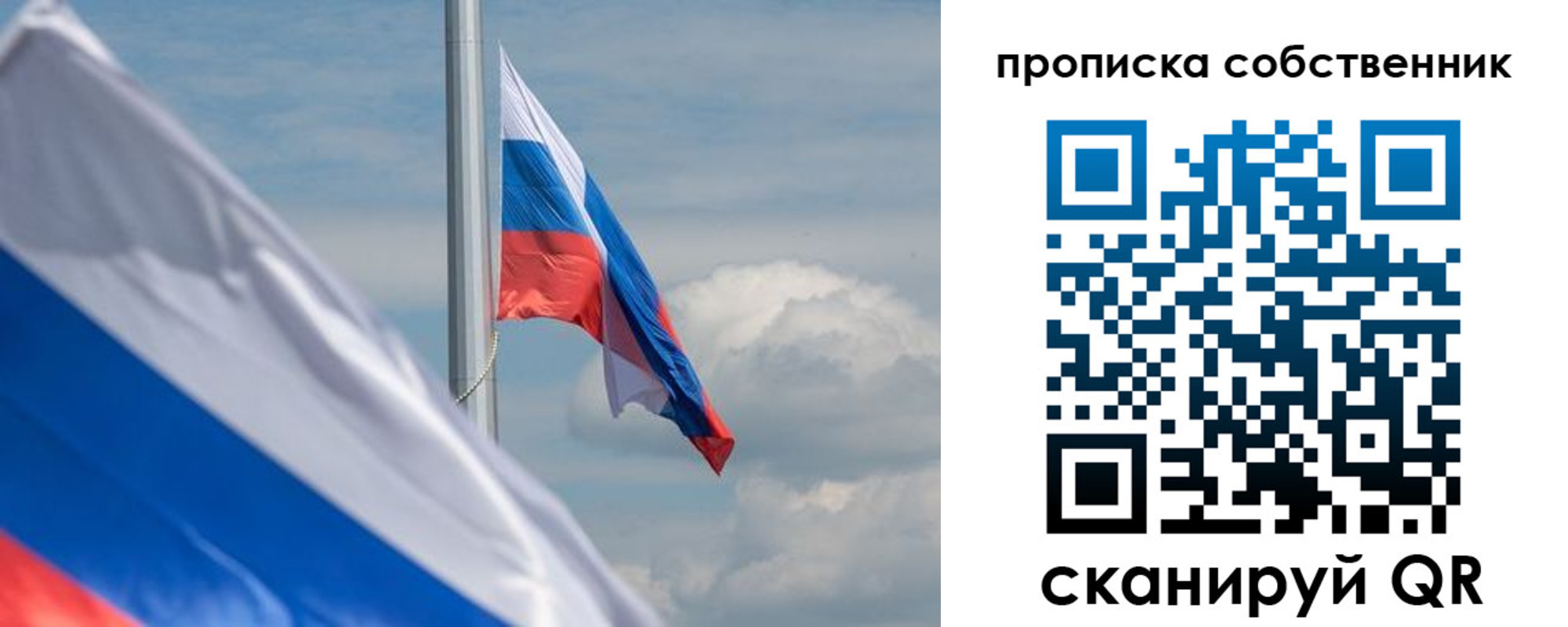 временная регистрация гарантия в Владимире